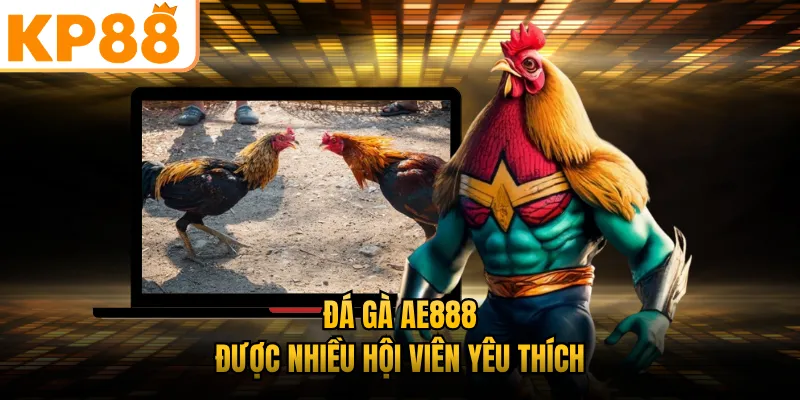 Đá gà AE888 KP88 được nhiều hội viên yêu thích