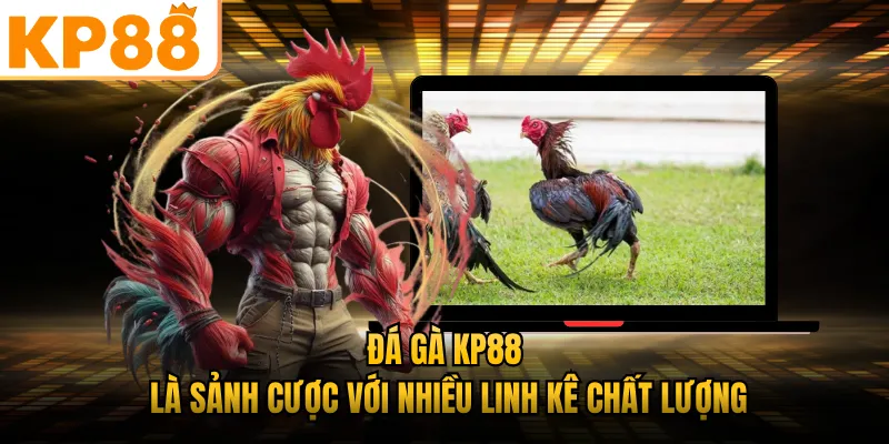 Đá gà KP88 là sảnh cược với nhiều linh kê chất lượng